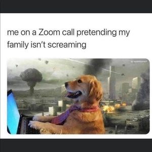 Meet your Posher, Molly